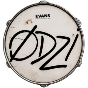ODZI